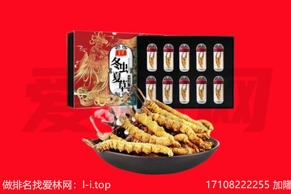 大兴安岭呼中区回收虫草.jpg